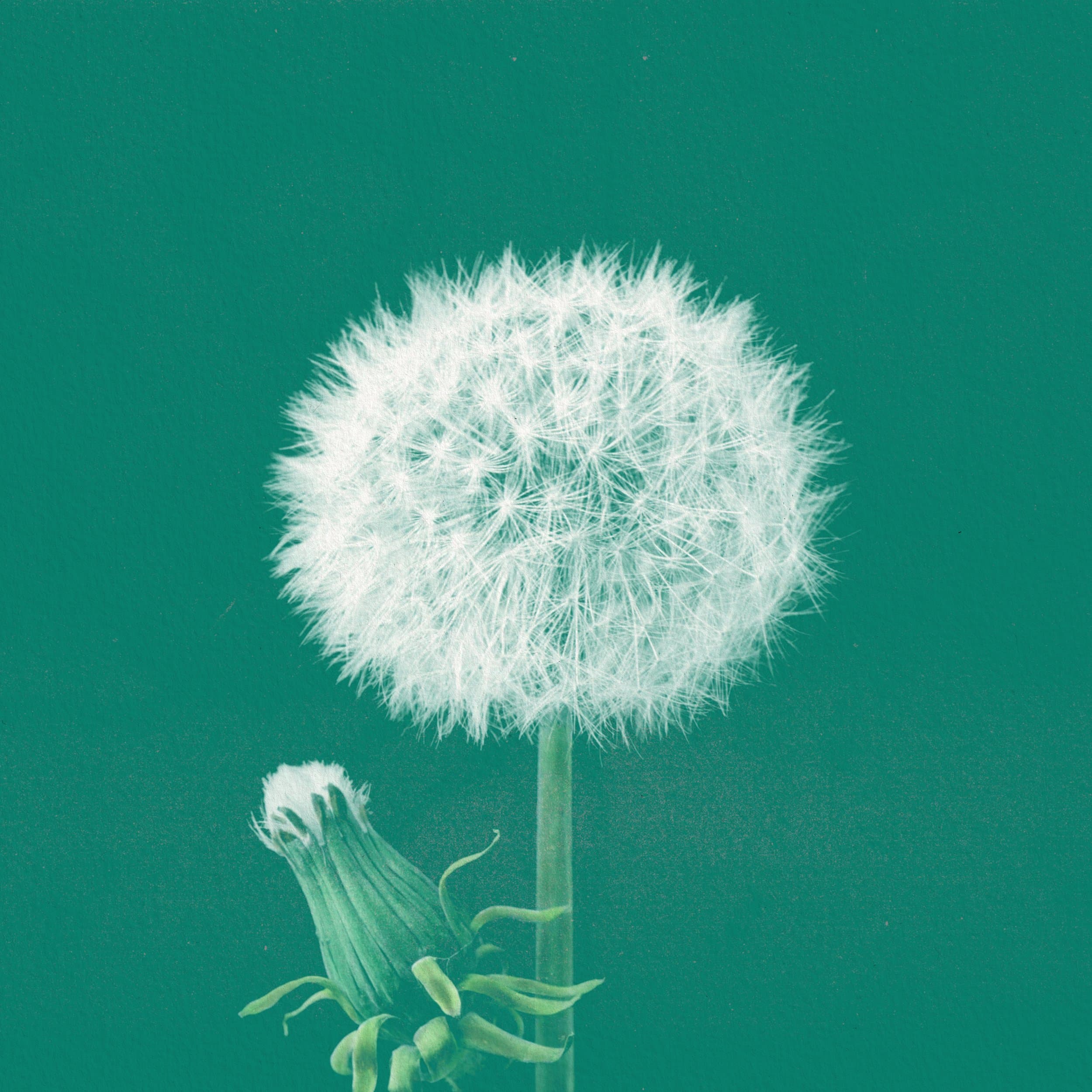 Wasting All Your Lovin'